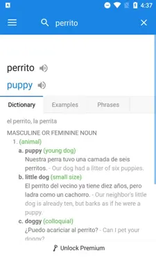 SpanishDict android App screenshot 14